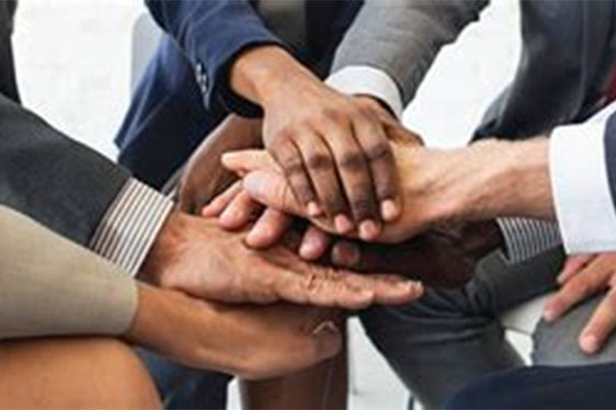 Building Cohesion in a Hybrid Work Environment